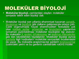 We did not find results for: Molekuler Biyoloji Aras Gor Ayhan Unlu Ppt Indir