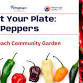 Plant Your Plate: Peppers (Harvest) @ Apollo Beach event image