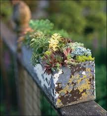 Growing a succulent container garden is easy and immensely satisfying. Succulent Gardens For Small Spaces Dengarden