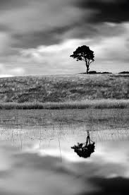 Check spelling or type a new query. Digital Camera World Nature Photography Ansel Adams Black And White Landscape