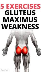 5 Weak Gluteus Maximus Exercises No Squats Or Weights Glutes Workout Gluteus Maximus Workout At Home Workouts