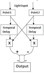 (a motion detection behavioral test is necessary to make that claim, and i don't know of any done on mice). Motion Perception Wikipedia