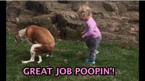 Fast, online, and powerful, kapwing is the meme creator that fits the largest number of use cases. This Little Girl Gave Her Dog The Cutest Pep Talk Of All Time