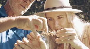 Australian food personality Magdalena Roze shares her macadamia farm  experience