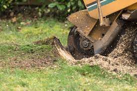Check that the ground is free of foreign objects, such as electrical cables, barbed wire. 5 Ways To Remove A Tree Stump Lawnstarter