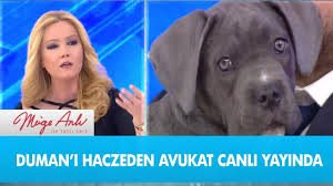 Duman I Haczeden Avukat Canli Yayinda Muge Anli Ile Tatli Sert 8 Subat 2019 Youtube