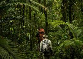 Despite the morning rain, we were more than. Jungle Trekking In Sumatra Ecotourism In Indonesia Wild Sumatra