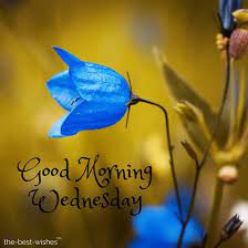 Best latest gud morning wednesday photo good morning wednesday images and wednesday good morning wishes cool images download and share all friends with wednesday good morning. Best Good Morning Wednesday Wishes Images And Greetings 2020