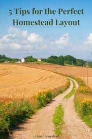 I'd highly recommend reading backyard foraging as. 5 Tips For The Perfect Homestead Layout 15 Acre Homestead