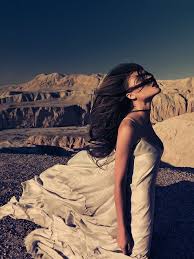 William Maestas (wmaestas)