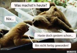 Was Machst N Heute Lustige Bilder Spruche Witze Echt Lustig In 2020 Lustige Spruche Witze Lustige Fakten