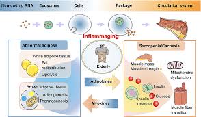 Image result for Beige 1983 Caloric