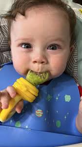 3/16 Saturday 10am-12pm @thevillagesouthjersey , 1:1 in person & virtual  consults available too!🩷, 👋🏼Stop googling and come hang with me to learn  about Starting Solids!, 🍓When should I start solids? , ...