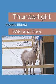 Thunderlight: Eldred, Andrea Margaret: 9781521413951: Books