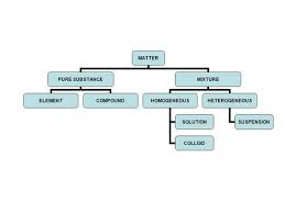 Suspensions can be filtered, while solutions cannot. Matter Pure Substance Elementcompound Mixture Homogeneous Solution Colloid Heterogeneous Suspension Solutions Cell Processes Forms Of Matter