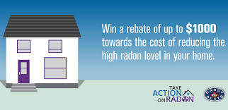 Where can i buy a test kit? Home Radon Test