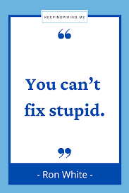 You're. like, i can spot stupidity, because i know it so well. 300 Funny Quotes To Make You Laugh Keep Inspiring Me
