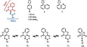 Antikoagulantien pass pdf / marcumar : 4 Oh Coumarin Based Rotary Switches Tautomeric State And Effect Of The Stator Sciencedirect