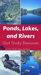 Want To Learn More About Pond Lake And River Habitats These Unit Study Resources Will Help There S Unit Studies Homeschool Study Unit Science Unit Studies