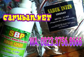 Check spelling or type a new query. Pakan Nogo Sosro Sabuk Inten Startseite Facebook