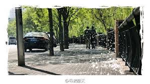 Image result for 惟解漫天作雪飛。
