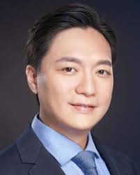 Decentralized and Incentivized Federated Learning: A Blockchain-Enabled  Framework Utilising Compressed Soft-Labels and Peer Cons