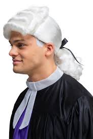 Judge Wig President Washington White Curly Wig Adults Fancy Dress Mens  Ladies