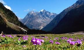 20 Offbeat Destinations in India ...