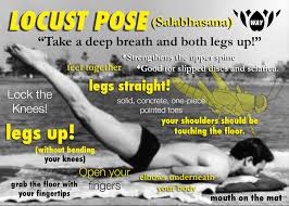 Locust Pose Bikram Yoga Poses Yoga Quotes Yoga Asanas