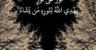 قرآن كريم آية نور على نور Beautiful Moon Blue Flowers Garden Artsy Pictures