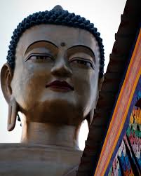 Aaron Quick-Kicken Lamar