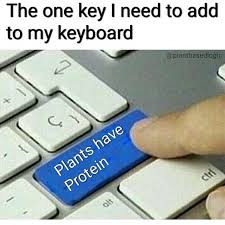 The One Key I Need To Add To My Keyboard Vegan Meme Veganism Vegan Humor Vegan Lifesyle Protein Upgrade Meme Funny Pictures Funny Memes