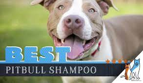 Pitbull Shampoo 6 Picks For The Best Dog Shampoo For Pitbulls In 2021
