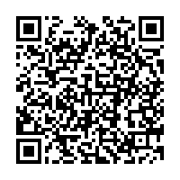 Use pokemon 3ds qr codes and thousands of other assets to build an immersive game or experience. Pokemon Y Qr Code Roms
