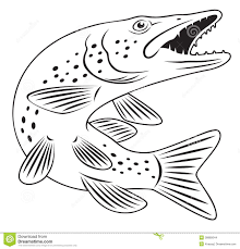 Free printable pike coloring pages for kids. Pike Fish Fish Coloring Page Fish Drawings Animal Coloring Pages