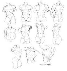 Pinterest Human Body Drawing Anatomy Sketches Body Reference Drawing