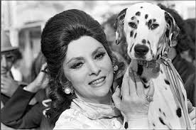 Gina with her Dalmantine dogs at the Cannes Film Festival, 1972.