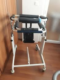 Image result for Parapodium