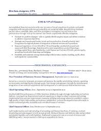 12 Cfo Resume Objective Resume Objective Resume Examples Sample Resume
