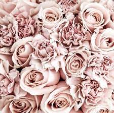 Unexpectedly perfect mother's day gifts by artists. Image About Love In Rose Gold Aesthetic By â³ð²ð¼ð¼ð¥ð¸ð°ð¾ð®