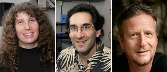 Solar Energy Storage Research featured in Science