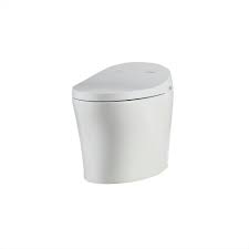 Check spelling or type a new query. Ove Decors Lena Elongated Electric Bidet Toilet In White 15wst Lena00 00 The Home Depot Smart Toilet Bidet Bidet Toilet