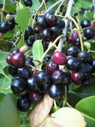 Maybe you would like to learn more about one of these? Pin On Filipino Food
