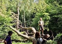 Gernon Bushes (Epping Forest): a Man About Country Story Walk