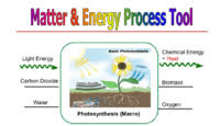 In the case of the calvin cycle, the input molecules are carbon dioxide, atp, and nadph. Photosynthesis Inputs Outputs Biology Quiz Quizizz