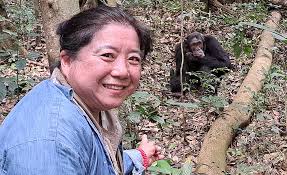 Janis Clemmons Obituary (2017)