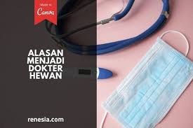 10 Alasan Menjadi Dokter Hewan Agar Lebih Yakin