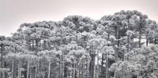 O que é casa geada sinônimos. Frio Significado Arquivos Go Outside