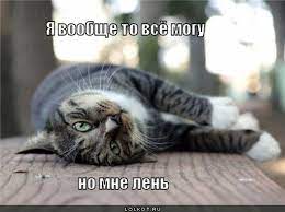 images?q=tbn:ANd9GcRLU0bmY9hm3hARbshr2daJkGRya9UThh2NBq2yeLWm5uALUc6z_4tqRx-GVh0gXWPt-7I&usqp=CAU