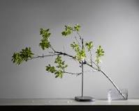 Image result for how to use branches for decoration treatment